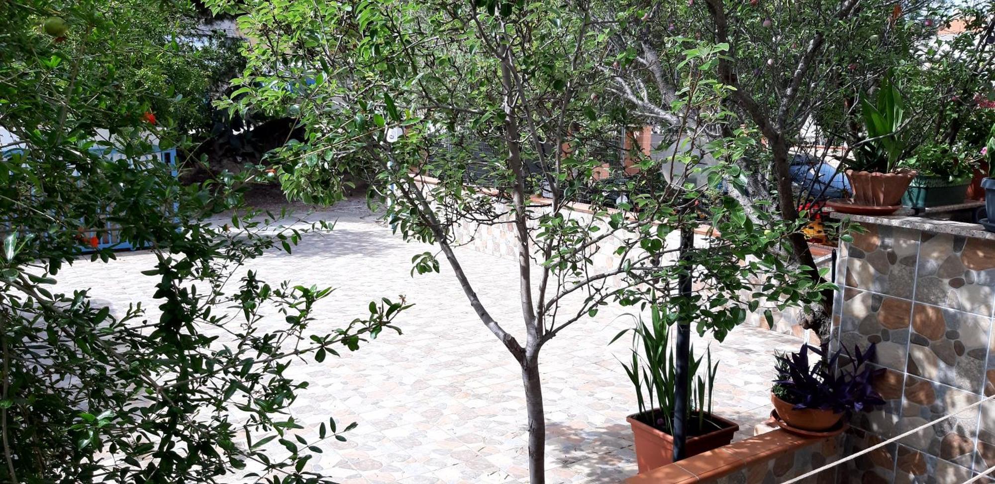 Phiniscollis B&B La Caletta Esterno foto